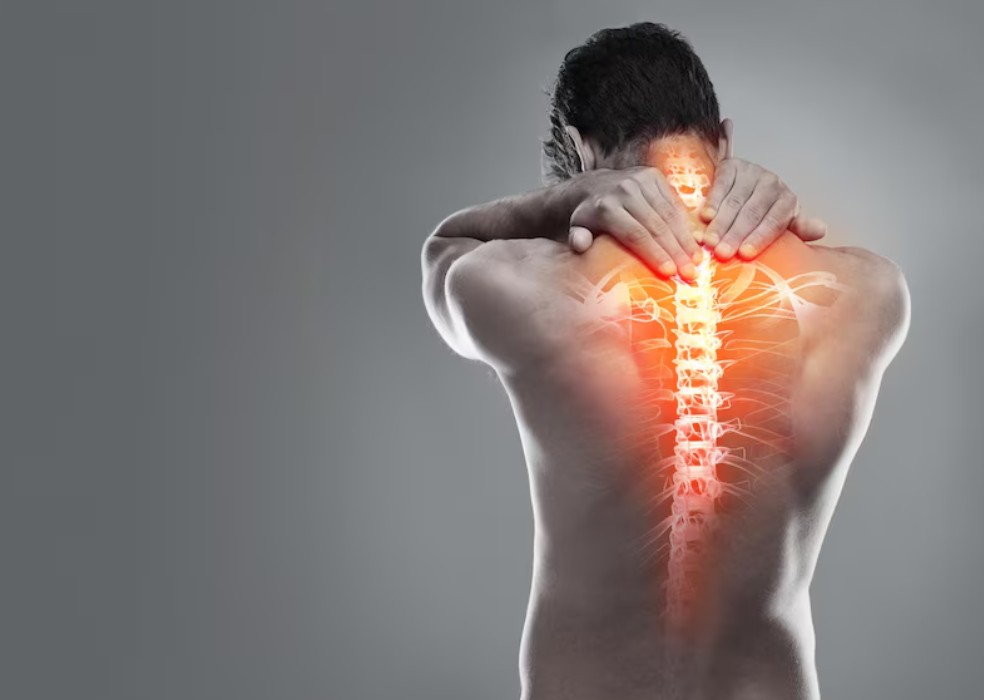 Spine Problems and Nerve Pain - Spine Specialist in Faridabad